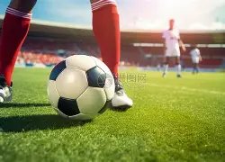 西部火箭主,场对阵东部,老鹰,太阳城,太阳城娱乐,太阳城app,太阳城赌场