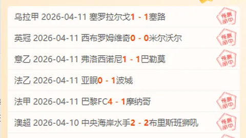 2025中国网球巡回赛厦门CTA500鲸丽体育站盛大启幕